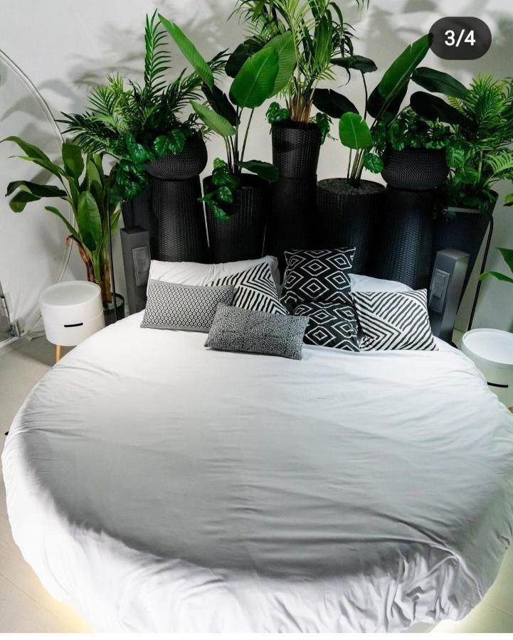 Zielo De Levante Tirig Ngoại thất bức ảnh